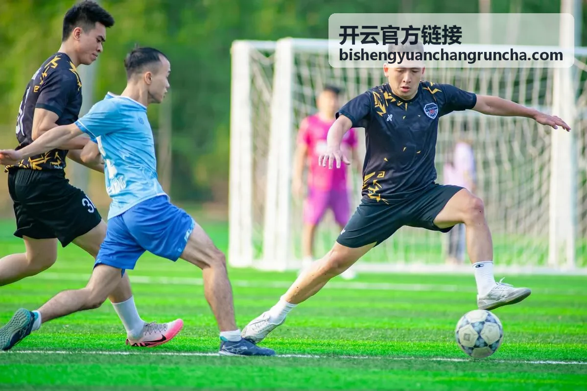 开云官方链接访问环境检查示意